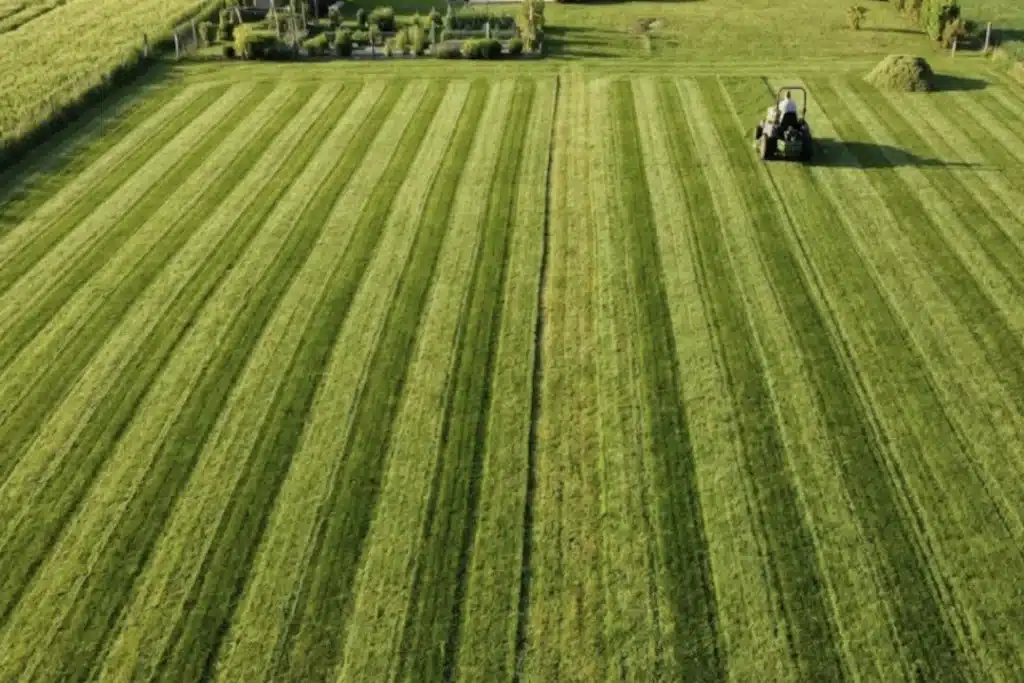 Tondeuse poussée ou tracteur tondeuse : à partir de quelle surface faut-il changer ?