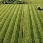 Tondeuse poussée ou tracteur tondeuse : à partir de quelle surface faut-il changer ?